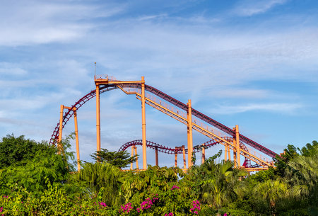 Thrilling roller coaster in lush greenery and blue sky.の写真素材