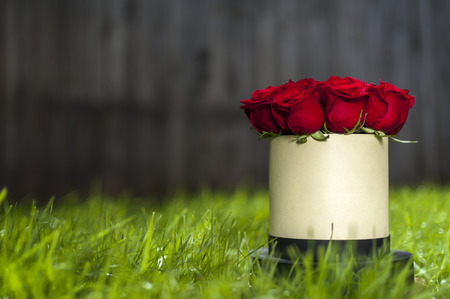 Red roses bouquet in white gift box on the background of green grass. Selective focus