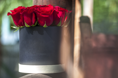Red roses in black gift box. Selective focusの写真素材