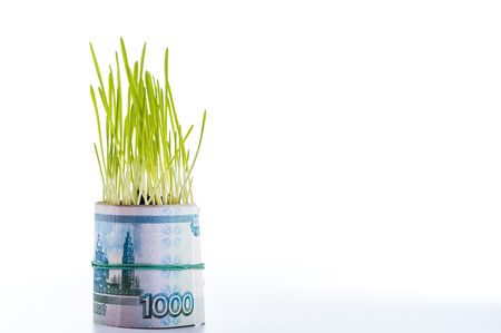 Money growth: ruble bill and green grass on white background.の写真素材