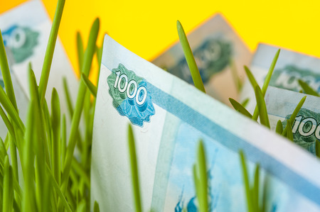 Russian ruble bills in green grass.の写真素材