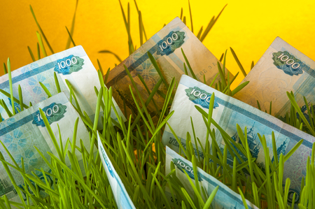 Russian ruble banknotes in green grass.の写真素材
