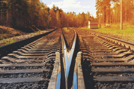 Railroad trucks in the forest, sunny dayの写真素材