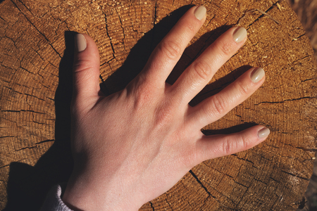 Female hand located on old stump.の写真素材