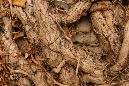 Conceptual background imageの写真素材