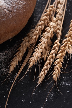 Freshly baked homemade white flour breadの写真素材