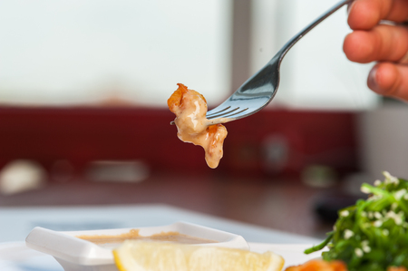 Gourmet food - restaurant menuの写真素材