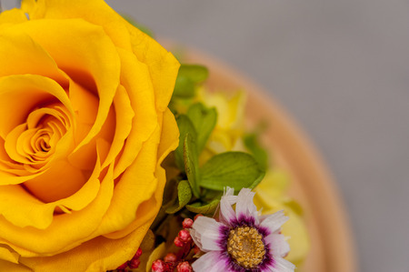 Yellow rose in pink bouquet with hydrangeaの写真素材