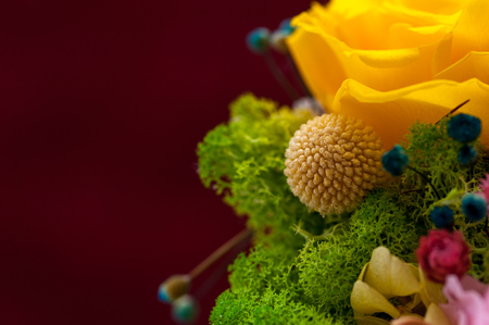 Yellow rose in pink bouquet with hydrangeaの写真素材