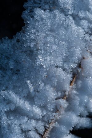 Close-up of a snow-covered branch covered with large ice cubes in the forest under the rays of the bright spring sun. The concept of the coming spring and the change of seasonsの写真素材