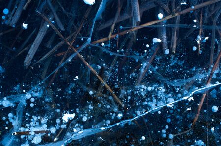 Autumn withered grass froze in the water of a frozen river with cracked ice and air bubbles. The concept of beautiful natural phenomena. Advertising spaceの写真素材