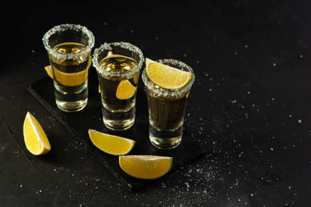 Mexican Gold Tequila with lime slices and salt, top viewの写真素材