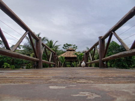 Wooden bridge in a tropical settingの写真素材