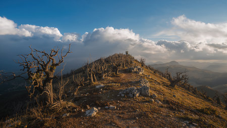 Landscape of mountain and sky in the morning at Doi Luang Chiang Dao, Chiang Mai, Thailandの素材