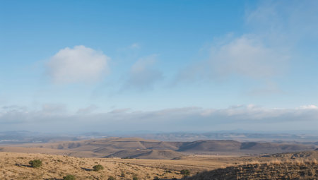 Landscape of the dunes of the Negev Desert in Israelの素材