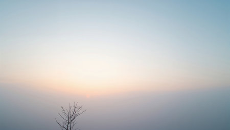 Sunset sky with silhouette of a tree in the foreground. Natural background.の素材