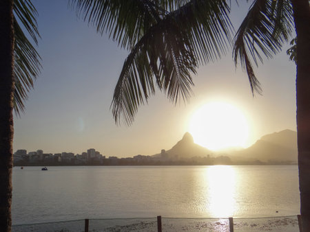 Sunset with palm trees, Rio de Janeiro, Brazilの写真素材