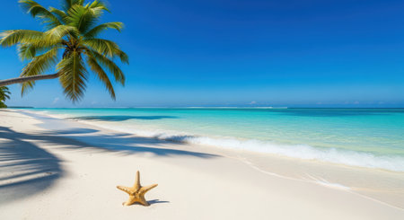 Beautiful beach with coconut palm tree and starfish at Seychellesの素材