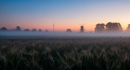 Sunrise over a wheat field with windmills in the backgroundの素材