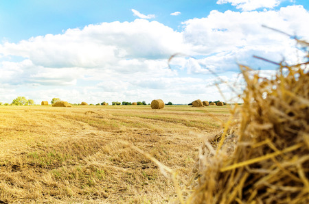 Hay-roll on the field against sunset backgroundの写真素材