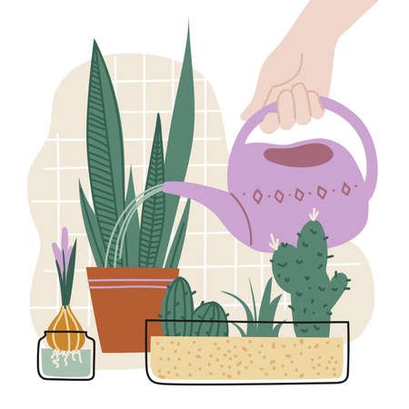 houseplants. Girl watering indoor flowers from a watering can. vector image.のイラスト素材