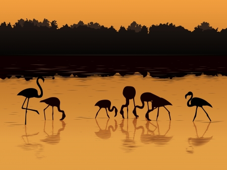 Vector illustration background of flamingos at sunset in the river in shadows style のイラスト素材