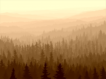  panorama of wild coniferous forest in morning fog.のイラスト素材