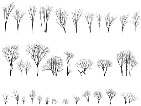 Set of vector silhouettes of trees and bushes without leaves during the winter or spring period.のイラスト素材