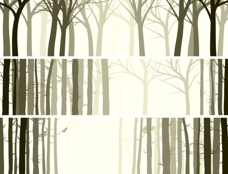 Vector abstract horizontal banner with many tree trunks (coniferous and deciduous forest).のイラスト素材