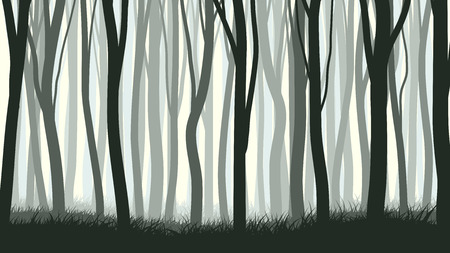 Vector horizontal illustration of many trunks tree with grass.のイラスト素材