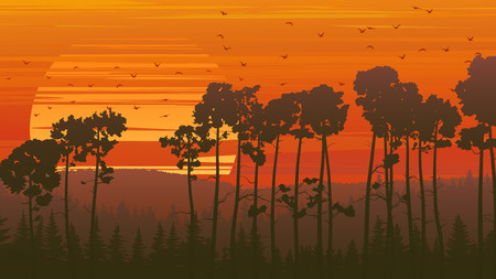 Horizontal orange illustration coniferous forest at sunset with flock of birds.のイラスト素材