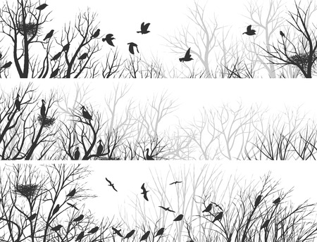 Set horizontal abstract banners of forest with nests in trees and birds.のイラスト素材