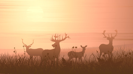 Vector horizontal illustration of wild deer on meadow at sunset.のイラスト素材