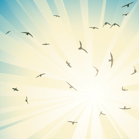 Square abstract illustration birds circling in rays of bright sun.のイラスト素材