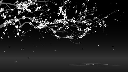 Horizontal black and white illustration abstract drawing of blossoming tree branch on black.のイラスト素材