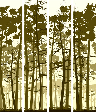 Set vertical banners wild forest with trunks of pine trees.のイラスト素材