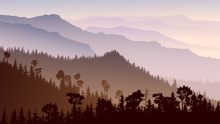 Horizontal illustration morning misty coniferous forest hills in purple tone.のイラスト素材