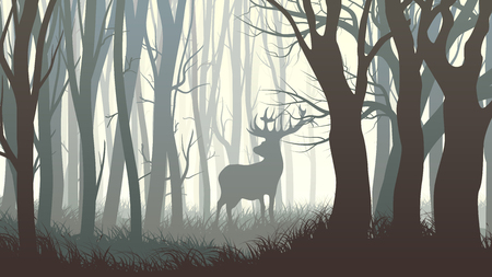 Vector horizontal illustration of dark forest with wild elk in forest.のイラスト素材