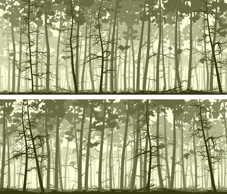 Set of horizontal abstract wide banners forest with trunks of pine trees.のイラスト素材