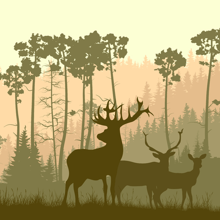 Vector square illustration of grazing deer family in meadow on background of pine forest.のイラスト素材