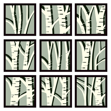 Set of square icons birch trees and its shadow in frame.のイラスト素材