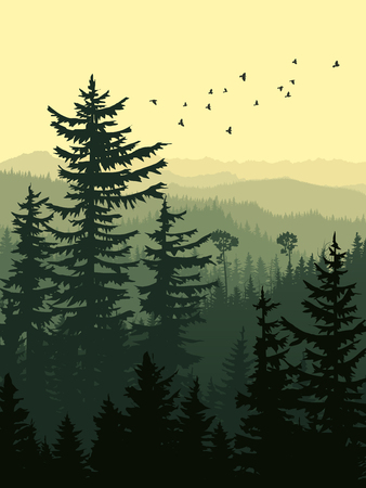 Vertical illustration of forest with green coniferous trees (sequoia) and birds.のイラスト素材