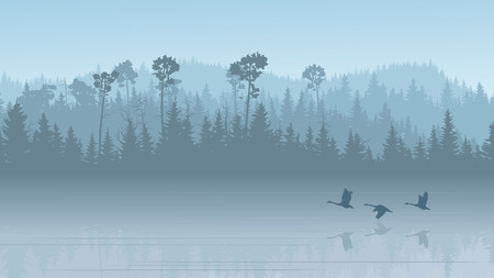 Horizontal illustration morning misty coniferous forest hills with its reflection in lake with swans ( in blue tone).のイラスト素材