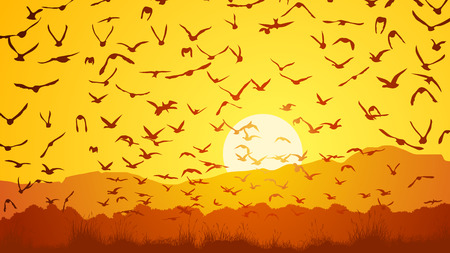 Horizontal vector illustration flock of birds at sunset over meadow.のイラスト素材