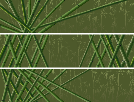 Set of vector horizontal banner with many trunks bamboos tree in green color.のイラスト素材