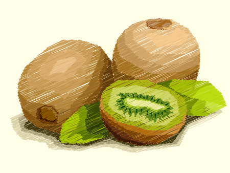 Vector illustration graphic arts sketch of drawing fruit kiwi with half.のイラスト素材