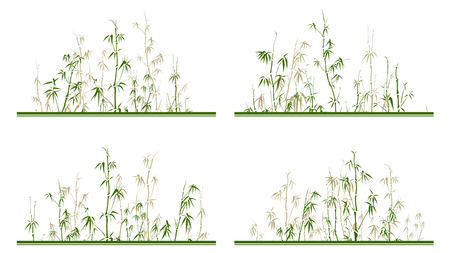 Set of horizontal label line with bamboo trees in green color.のイラスト素材