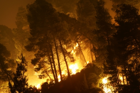 HALKIDIKI, GREECE - AUGUST  23, 2006 : The View of wildfire of forest on August 23 , 2006 in Halkidiki, Greece.のeditorial素材
