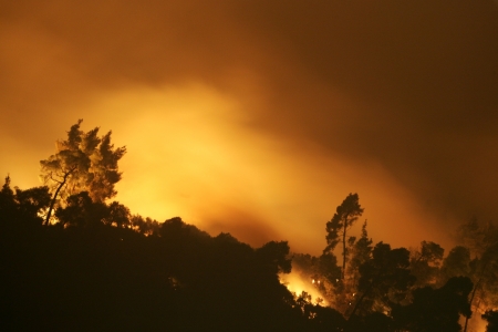 HALKIDIKI, GREECE - AUGUST  23, 2006 : The View of wildfire of forest on August 23 , 2006 in Halkidiki, Greece.のeditorial素材