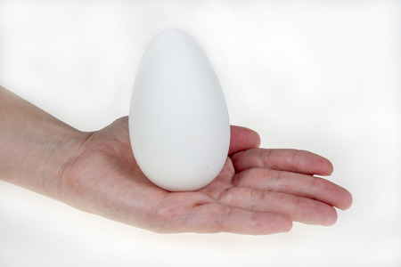 Hand holding big goose egg, isolated on white background
